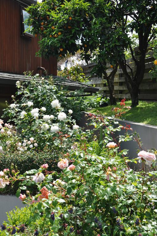 Harbinger House Bed & Breakfast Tauranga Exterior photo