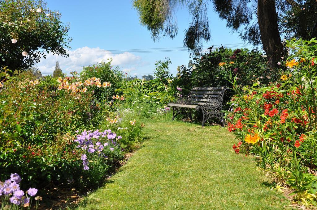 Harbinger House Bed & Breakfast Tauranga Exterior photo